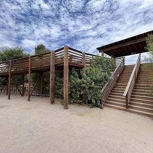 Capybara/Rhea Overlook