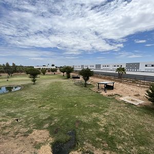 Capybara/Rhea Exhibit