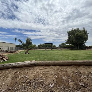 Giraffe Exhibit #1 (5 giraffes)