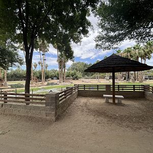 Sitatunga/Demoiselle Crane/Abdim’s Stork Exhibit