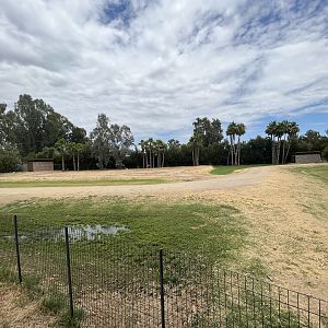 Dama Gazelle/East African Crowned Crane Exhibit