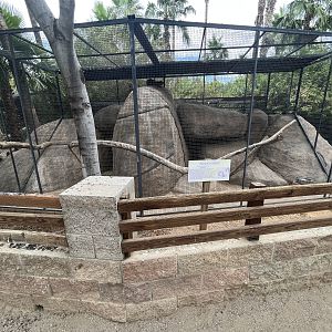 Rock Hyrax Exhibit