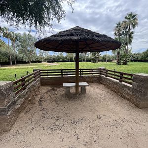 Springbok/Greater Kudu Exhibit