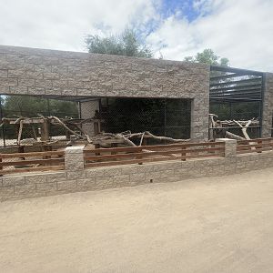 Hamadryas Baboon Exhibit