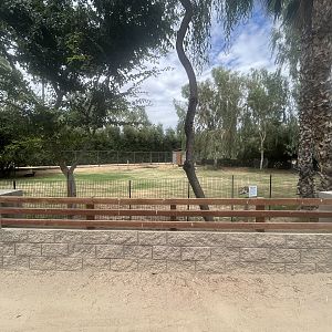 Nyala/Nene/Blue Crane Exhibit