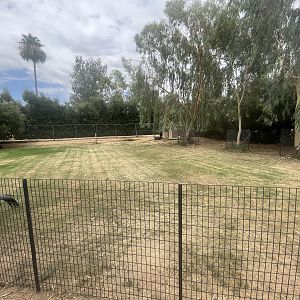Nyala/Nene/Blue Crane Exhibit