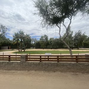 Nyala/East African Crowned Crane Exhibit
