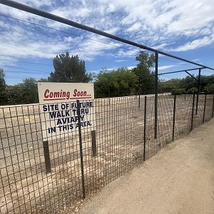 Future Walk-through Aviary