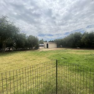 Springbok Exhibit #2