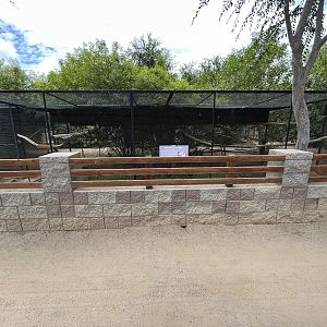 Wreathed Hornbill Aviary