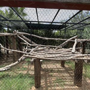 Clouded Leopard Exhibit
