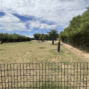 Nilgai/Sarus Crane Exhibit