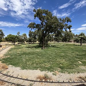 African Exhibit (5 species)