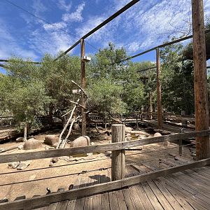 African Walk Through Aviary