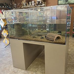 Gift Shop Aquarium Tank #1