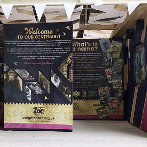 Centenary exhibition