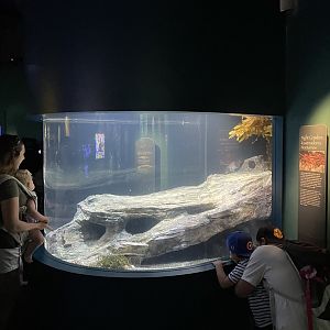Night Crawlers Exhibit