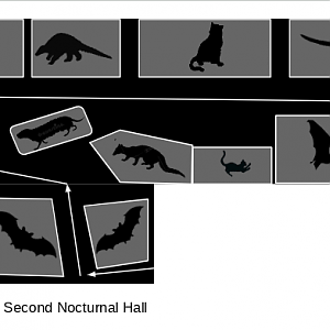 ZooSC at Myrtle Beach -> Second Nocturnal Hall (updated)