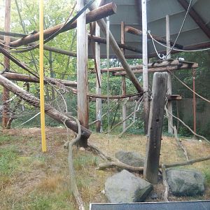 7/1/2023 - Lemur Habitat