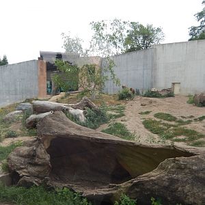 7/1/2023 - Grizzly Bear Habitat