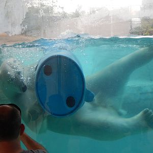 7/1/2023 - Pool Toy!