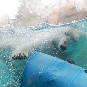 7/1/2023 - Splashin' Summer Fun