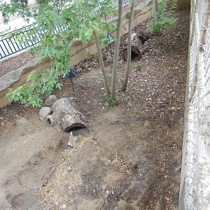 7/1/2023 - Old (Possibly Still Used?) Badger Exhibit