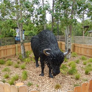 7/1/2023 - Bison Sculpture