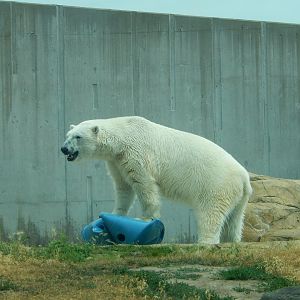 7/1/2023 - Bo the Conqueror