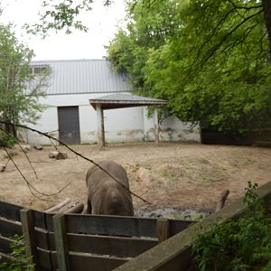 7/1/2023 - White Rhino Exhibit Extension