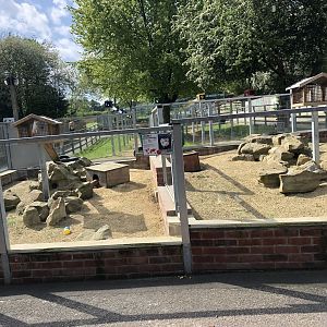 Ferret Enclosure at Cannon Hall Farm (May 2022)