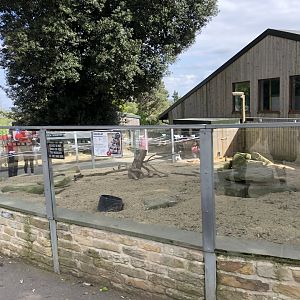 Meerkat Enclosure at Cannon Hall Farm (May 2022)