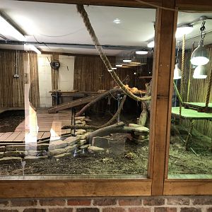 Green Iguana Enclosure at Cannon Hall Farm (May 2022)