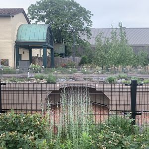 Progress on new turtle exhibits by Hamill Family garden