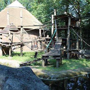 Outdoor-enclosure Mandrill
