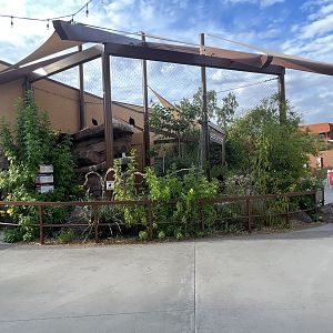 Turkey + Black Vulture Aviary