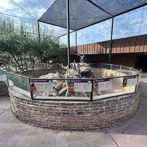 Arizona Trail Entrance Area