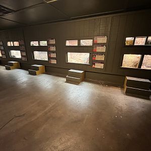 Diversity in the Desert