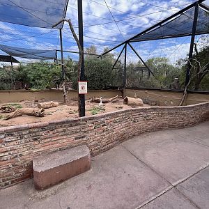 Prairie Dog Exhibit