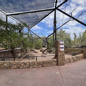 Burrowing Owl/Roadrunner/Turkey Vulture Aviary