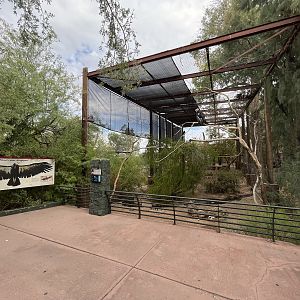California Condor Aviary