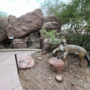 Cougar Exhibit