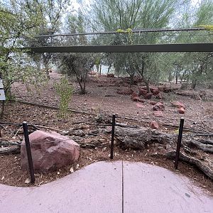 Mexican Wolf Exhibit