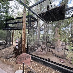 Arizona Trail Aviary (3 species)