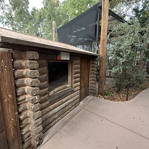 Porcupine Exhibit