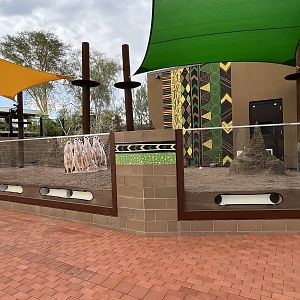 Predator Passage - meerkat exhibit