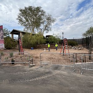 Predator Passage - future vulture aviary