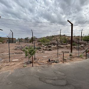 Predator Passage - lion exhibit