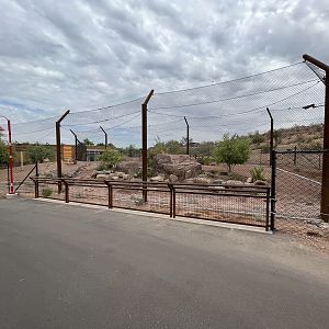 Predator Passage - lion exhibit