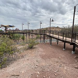 Predator Passage - overlook ramp